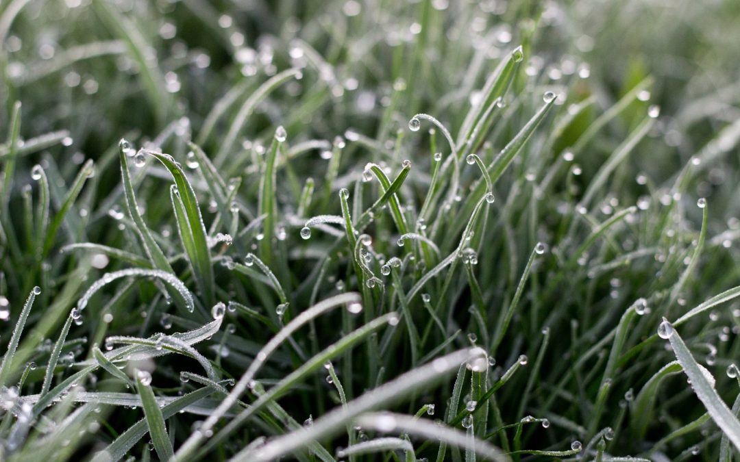 Wat maakt ons Extra pakket zo extra?