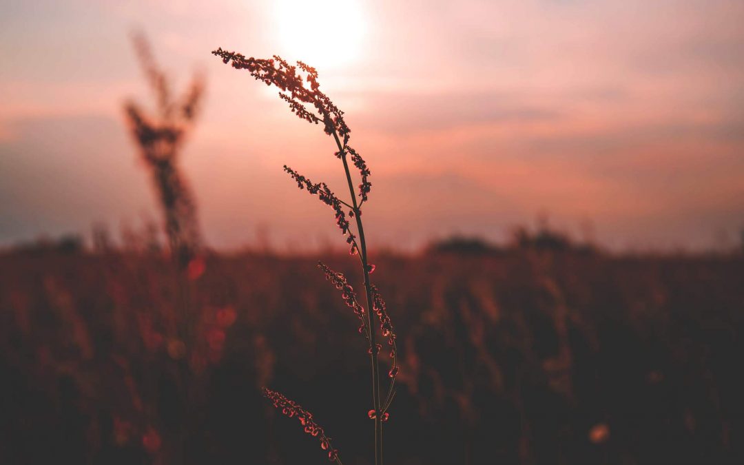 Klachtgedrag: herken de verschillende stijlen (+ tips)