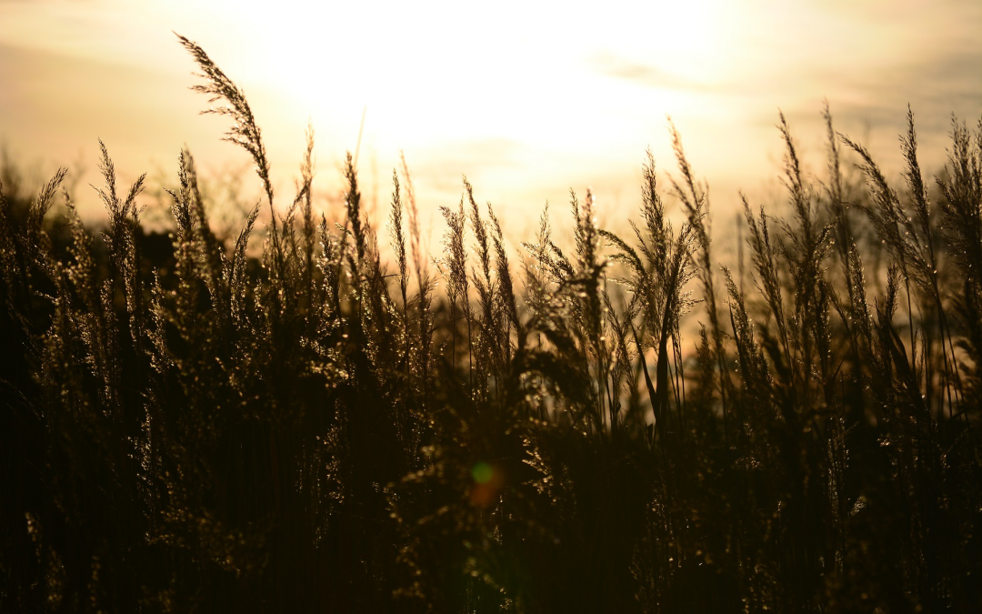 Jason Bhugwandass: Zorgheld in de jeugdzorg
