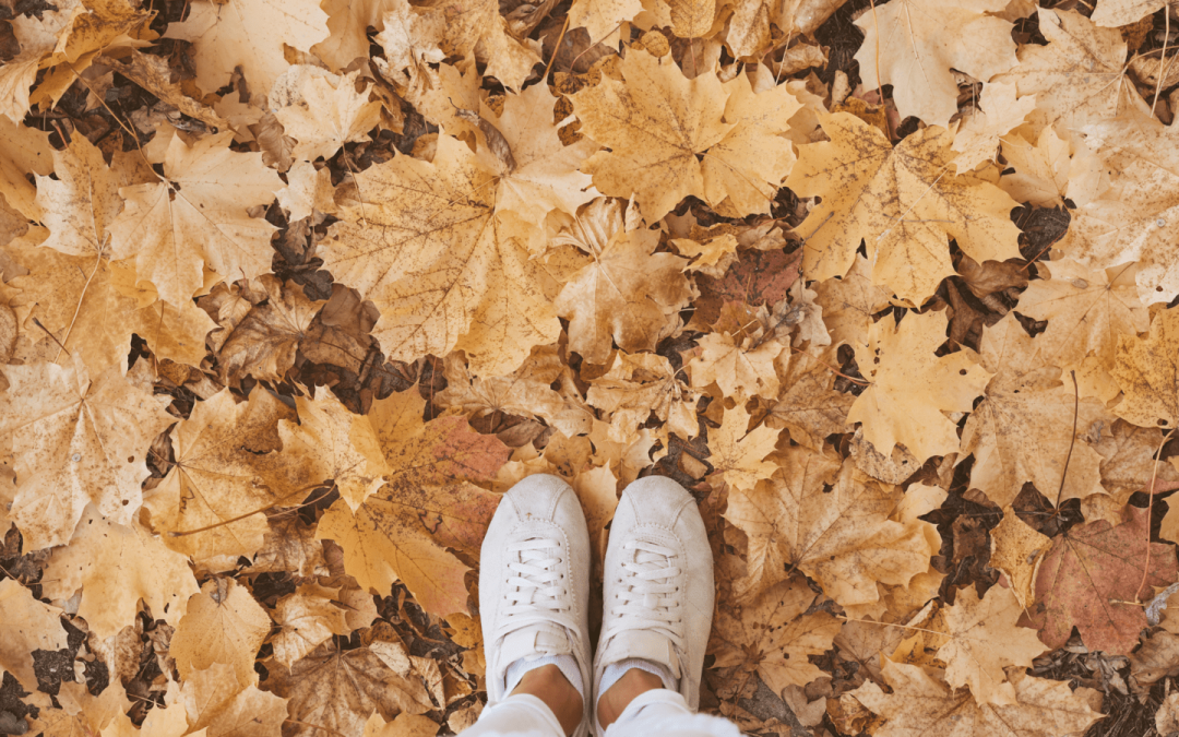 Cliëntondersteuning: Hulp bij Klachten en Zorgvragen